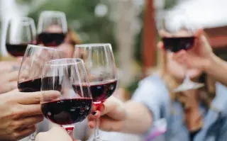 brindis con vino