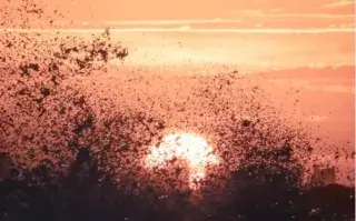 Atardecer en el Chorro, Punta del Este