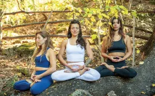 Del mat a la vida. Enseñanzas del yoga para vivir en armonía.