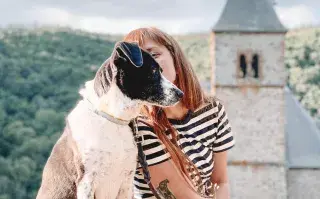 Viajar con tu perro o tu gato: todo lo que necesitás saber para que la experiencia sea un éxito Viajar con mascotas es posible y placentero, si se tienen en cuenta algunas cuestiones.