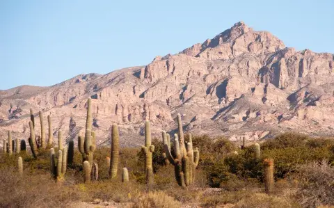 qué tenés que saber antes de visitar los viñedos de los Valles Calchaquíes