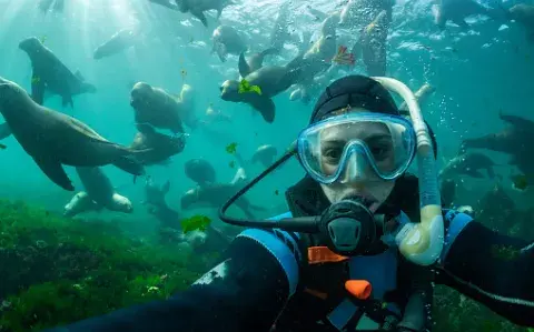 6 cosas que no podés dejar de hacer si visitás la ciudad