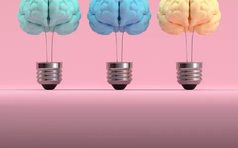 Neurociencias: estas son nuestras 7 inteligencias y cómo aprovecharlas