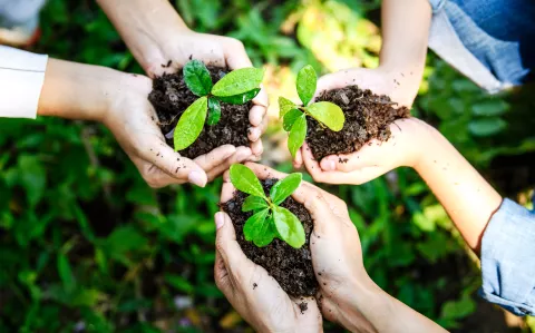 Día de la Tierra: 5 formas simples de cuidar el planeta