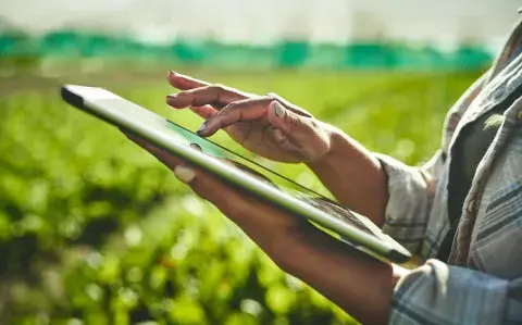 Lanzaron la primera app argentina para medir la huella de carbono