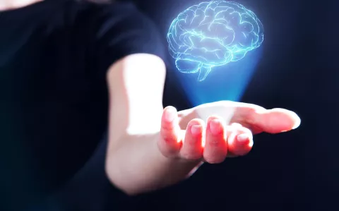8 neuromitos sobre cómo funciona nuestro cerebro