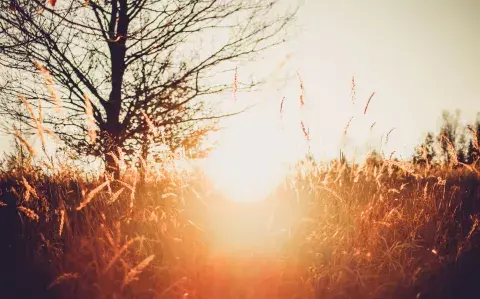 Solsticio de invierno: cómo impactará el Sol en Cáncer en cada signo del zodíaco