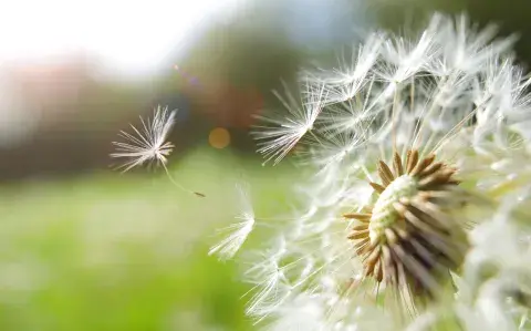 Equinoccio de primavera: momento de encontrar el balance