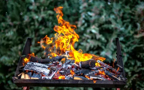 Así podés usar la ceniza del asado como abono a las plantas