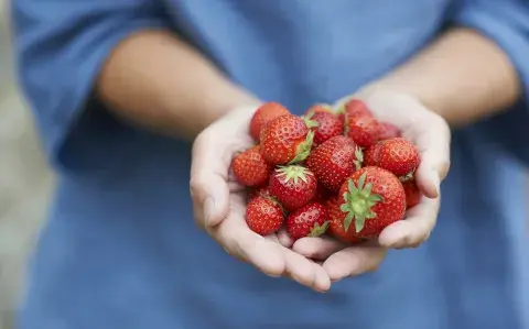 El truco para que las frutillas duren más en la heladera