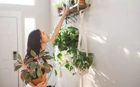 Cuál es el hábito danés que puede tranformar tu casa en un espacio feliz 