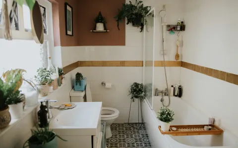 3 plantas que te ayudarán a sacar la humedad del baño