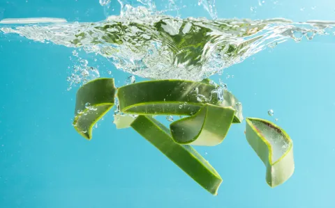 Agua de aloe vera: ¿cómo usarla para hacer un detox natural?