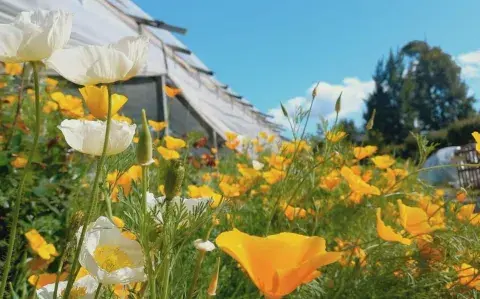 Semana Santa con chicos: así es la granja japonesa a una hora de Buenos Aires