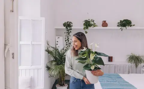 Qué es la tendencia urban jungle y cuáles son las mejores plantas de interior para decorar tu casa