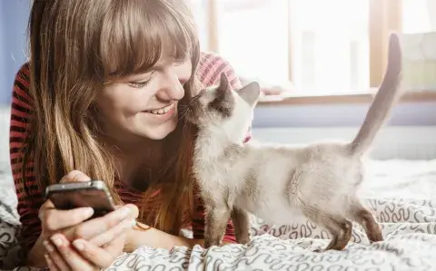 La presencia de los gatos en terapias para personas con TEA enriquece las sesiones para que puedan ser más motivadoras, llevaderas y toleradas.