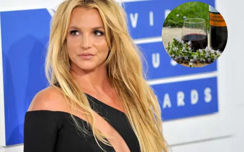 Revolución en las redes: Britney Spears se fascinó con un vino argentino