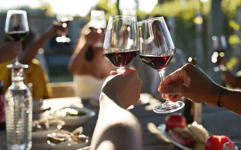Día Mundial del Malbec: ideas para disfrutar este vino que amamos