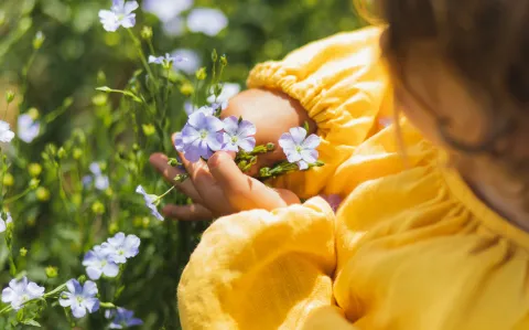 Jazmín paraguayo: la planta ideal para perfumar tu jardín