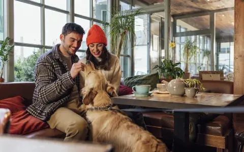 ¿Querés llevar a tu perro a una cita romántica? El secreto para que te vaya bien