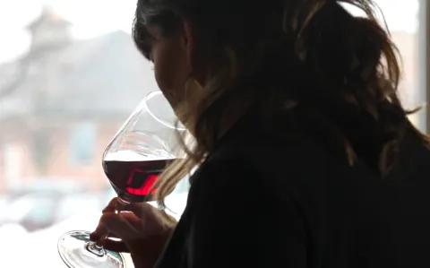 Día del Pinot Noir: por qué es la cepa más elegante, según expertos Día del Pinot Noir: por qué es la cepa más elegante, según expertos