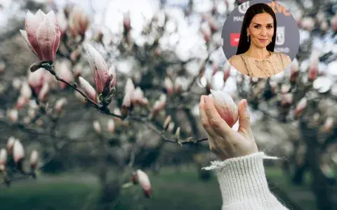 Las dos plantas de Natalia Oreiro que tenés que tener en primavera 