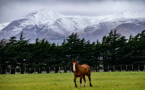 Nevó en Sierra de la Ventana: un destino ideal para una escapada cerca de Buenos Aires