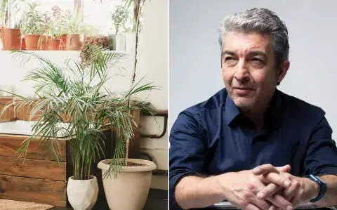 Esta es la planta que tiene Ricardo Darín en su jardín y no necesita mucho mantenimiento