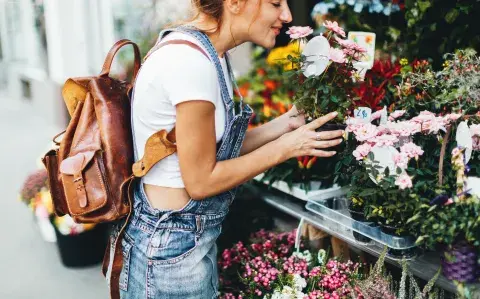 ¿Dónde comprar plantas y flores baratas en primavera?