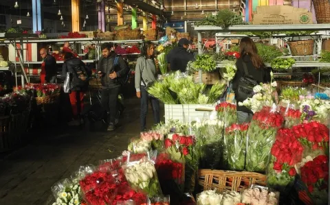 ¿Dónde comprar plantas y flores baratas? Un datazo de Las Gangas