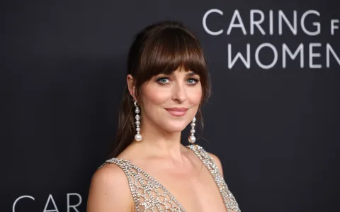 5 marcas argentinas donde encontrar el vestido lencero de Dakota Johnson