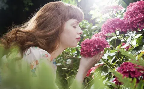 Las plantas más fáciles de cuidar para tener un cantero colorido en primavera