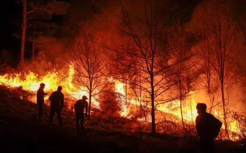 Incendios en Córdoba: ¿cuál es la situación y cómo ayudar a los brigadistas?