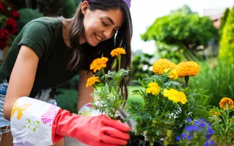 Las plantas que no deberías tener porque atraen a los mosquitos