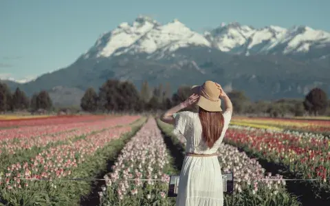 Argentina florece: dónde viajar para tener las mejores postales de flores del país