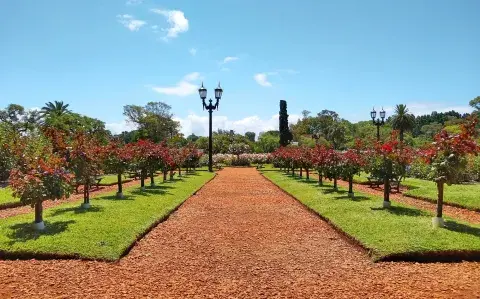 Paraísos botánicos: 5 espacios verdes increíbles en CABA