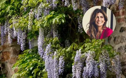 Esta es la planta trepadora ideal para poner en una galería, según Juliana Awada