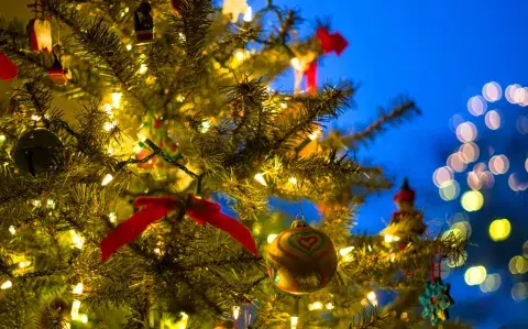 Chau luces de colores: las nuevas tendencias para la Navidad 2024