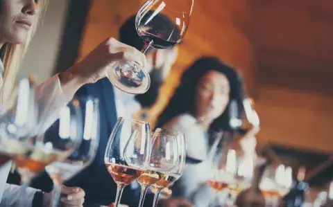 Planes para amantes del vino: propuestas imperdibles para disfrutar y aprender 