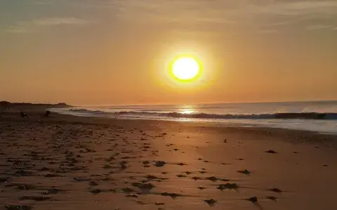 Ni Miramar ni Pinamar: esta la playa que está inmersa en un bosque frente al mar