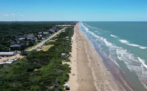 Ni Pinamar ni Cariló: ¿cuál es la playa llena de pinos cerca de CABA?