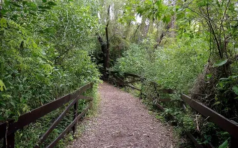 La reserva ecológica de Vicente López, un paseo ideal si estás por Buenos Aires