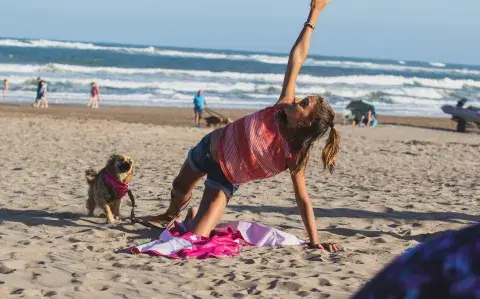 Vacaciones en la playa con mascotas: ¿conocés la "Ruta Dog friendly"?