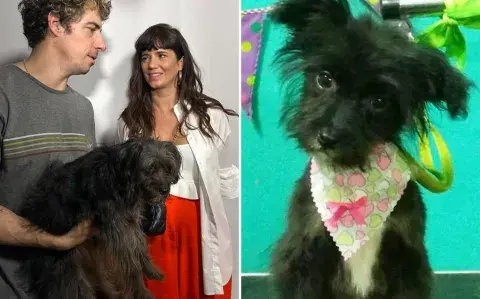 Conocé la tierna historia de Uma, la perrita que hace de Roto en la serie Envidiosa 