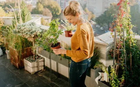 Podés sumar plantas a tu pequeño patio con macetas, estantes y otros objetos deco