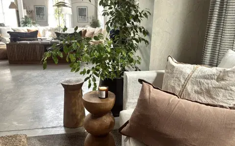 Cómo elegir el aromatizador para tu casa y qué significa cada fragancia Cómo elegir el aromatizador para tu casa y qué significa cada fragancia