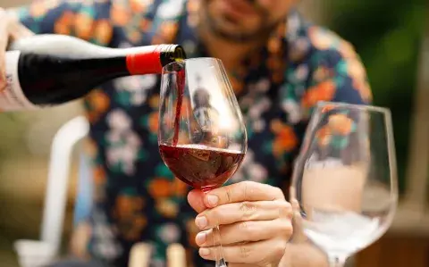 Vinos entre 5 y 160 mil pesos para regalarle a papá