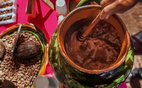 Cacao: este es el poder de una planta sagrada con efectos súper poderosos Cacao: este es el poder de una planta sagrada con efectos súper poderosos