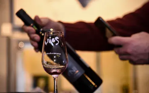 5 Malbec orgánicos que te van a sorprender 5 Malbec orgánicos que te van a sorprender