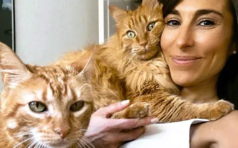 Por qué nos cautivan tanto los gatos, según una experta Por qué nos cautivan tanto los gatos, según una experta